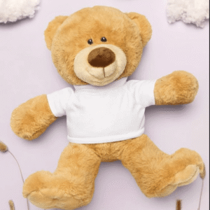 Teddy Bear with a T-shirt